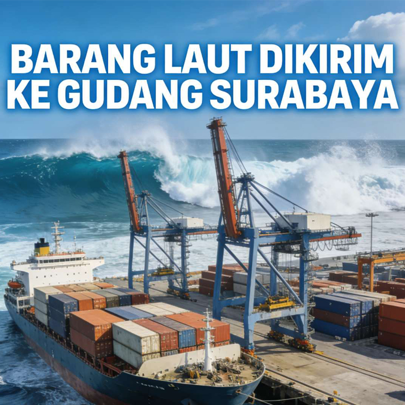 Batch Number: NO.003